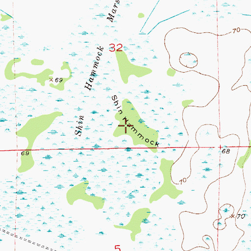 Topographic Map of Shin Hammock, FL