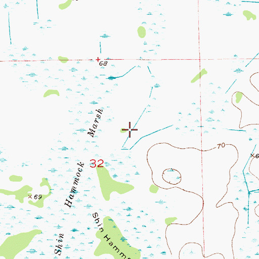 Topographic Map of Shin Hammock Marsh, FL