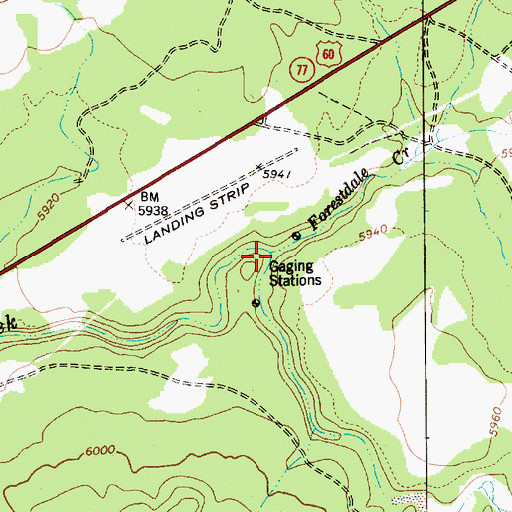 Topographic Map of Forestdale Creek, AZ