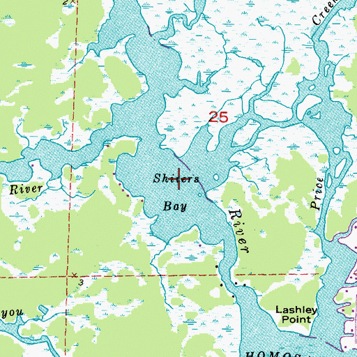 Topographic Map of Shivers Bay, FL