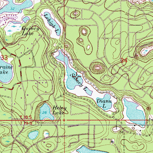 Topographic Map of Sidney Lake, FL
