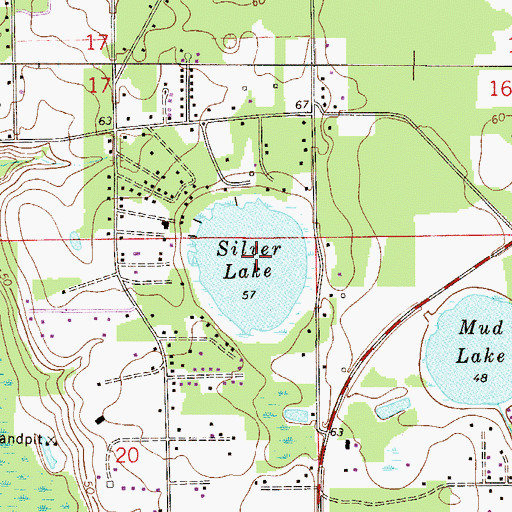 Topographic Map of Silver Lake, FL
