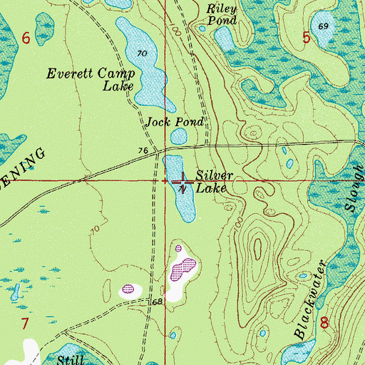Topographic Map of Silver Lake, FL
