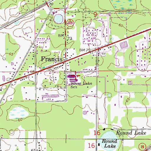 Topographic Map of Silver Lake School, FL