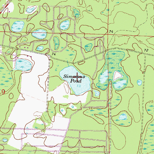 Topographic Map of Simmons Pond, FL