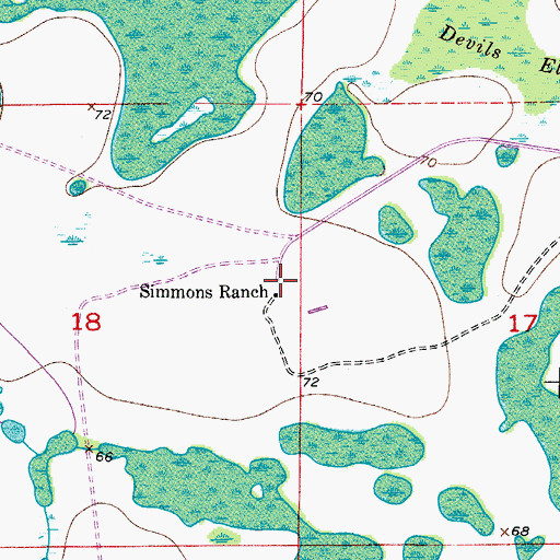 Topographic Map of Simmons Ranch, FL