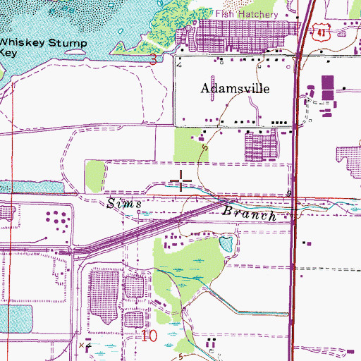 Topographic Map of Sims Branch, FL