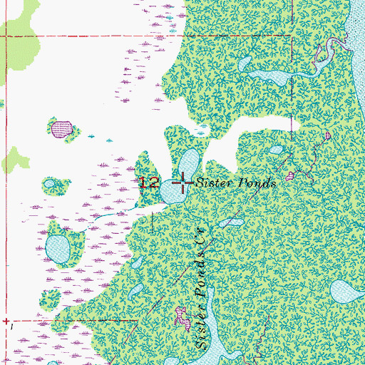 Topographic Map of Sister Pond, FL