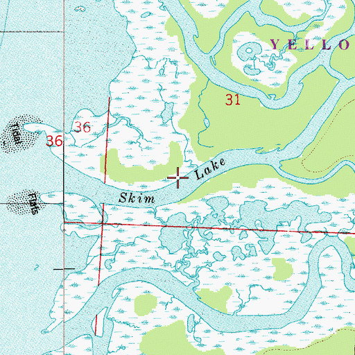 Topographic Map of Skim Lake, FL