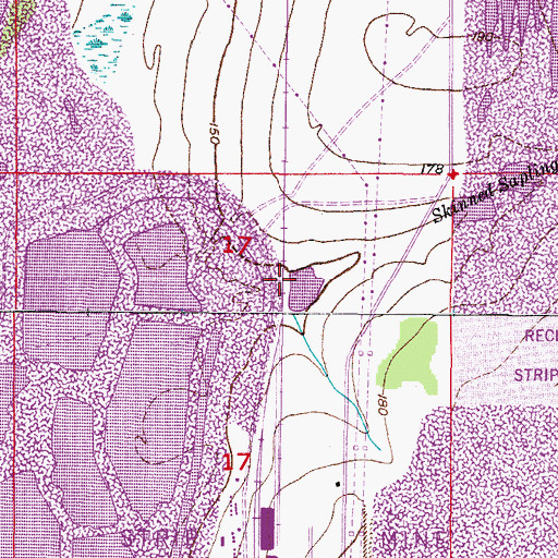 Topographic Map of Skinned Sapling Creek, FL