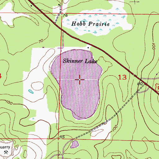 Topographic Map of Skinner Lake, FL