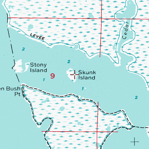 Topographic Map of Skunk Island, FL