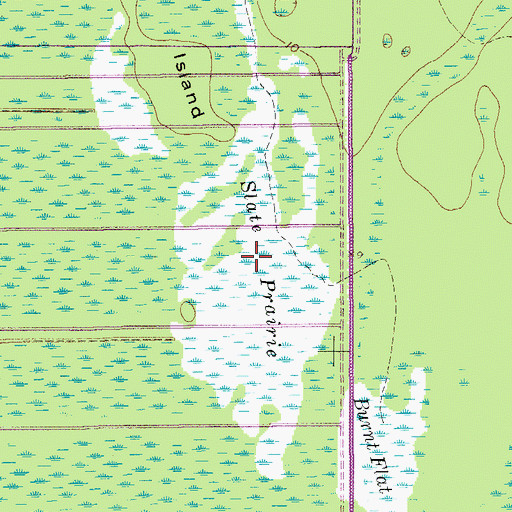 Topographic Map of Slate Prairie, FL