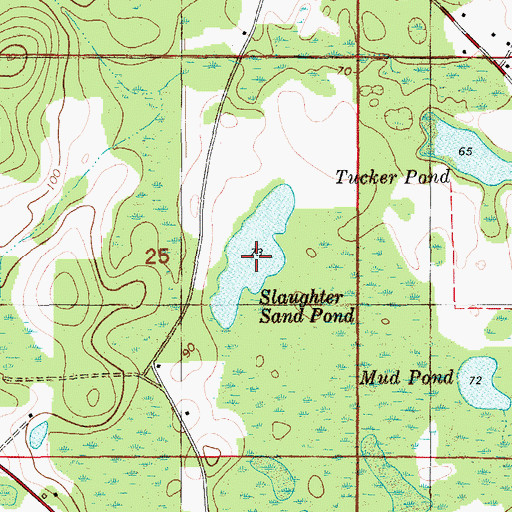 Topographic Map of Slaughter Sand Pond, FL