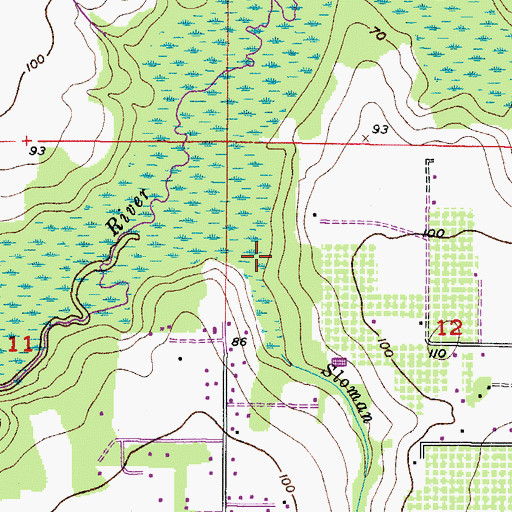 Topographic Map of Sloman Branch, FL