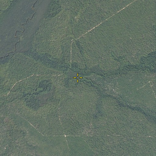 Aerial/Satellite Image of Smith Branch, FL