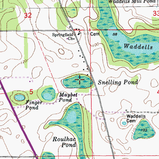 Topographic Map of Snelling Pond, FL
