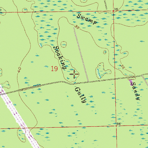 Topographic Map of Soaking Gully, FL