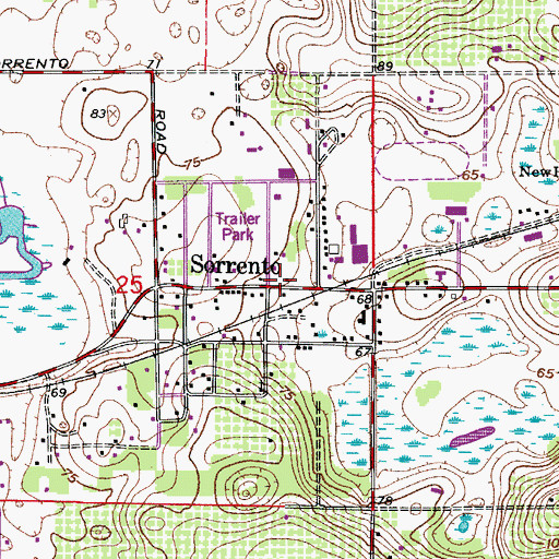 Topographic Map of Sorrento, FL