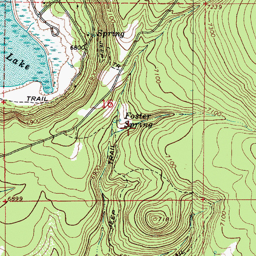 Topographic Map of Foster Spring, AZ