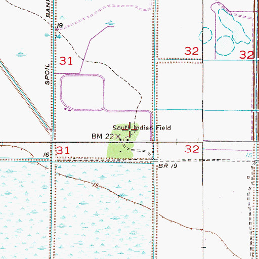 Topographic Map of South Indian Field, FL