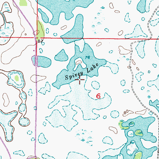 Topographic Map of Spivey Lake, FL
