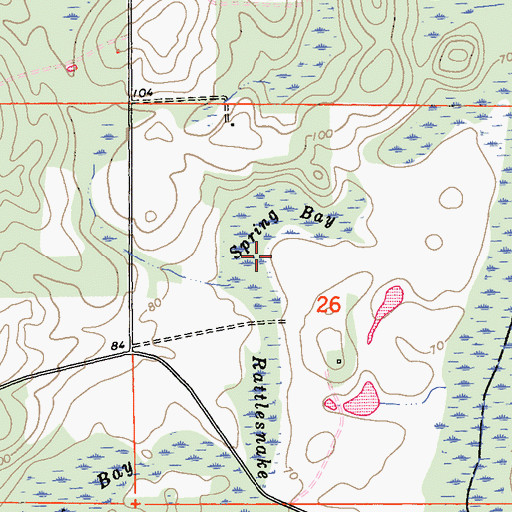 Topographic Map of Spring Bay, FL