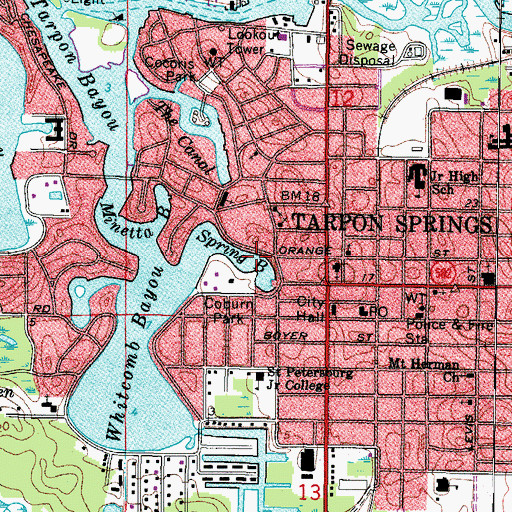 Topographic Map of Spring Branch, FL
