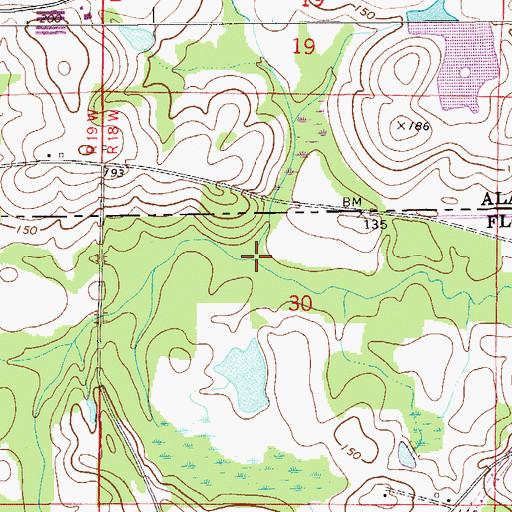 Topographic Map of Spring Branch, FL