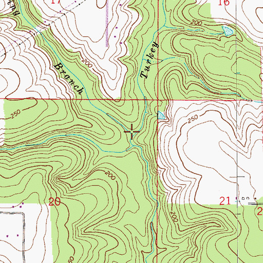Topographic Map of Spring Branch, FL
