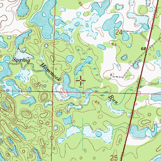 Topographic Map of Spring Hammock Run, FL