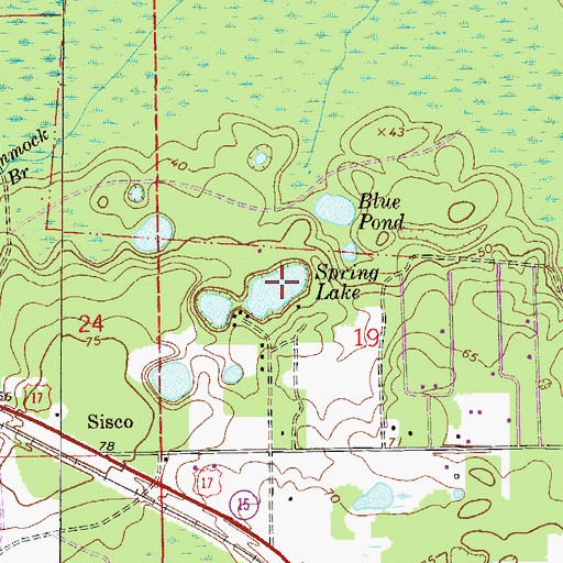 Topographic Map of Spring Lake, FL