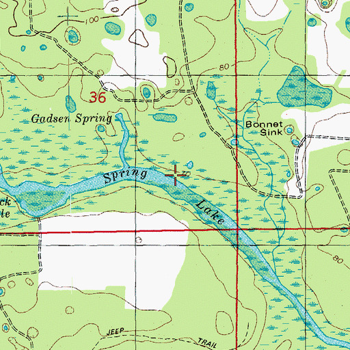 Topographic Map of Spring Lake, FL