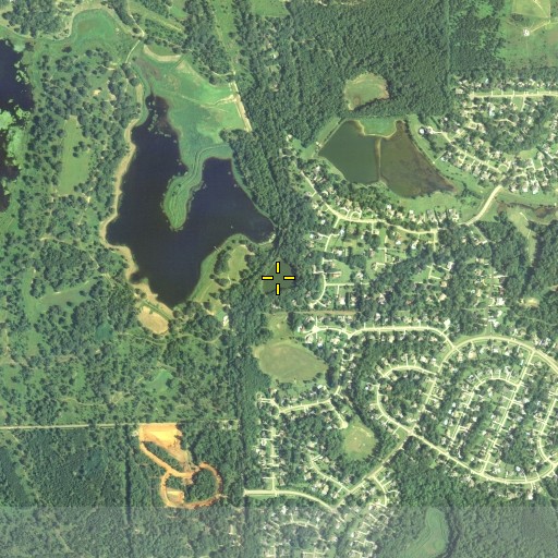 Aerial/Satellite Image of Spring Pond, FL