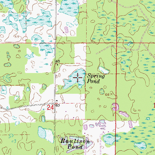 Topographic Map of Spring Pond, FL