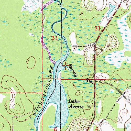 Topographic Map of Spring Run, FL