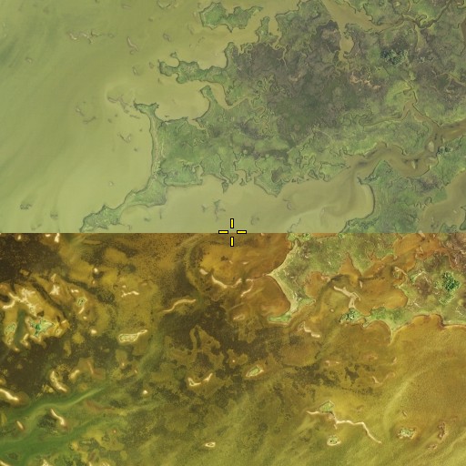 Aerial/Satellite Image of Spring Run, FL