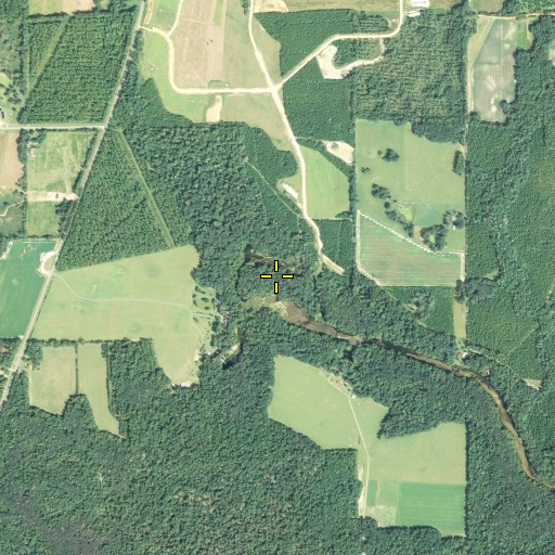 Aerial/Satellite Image of Springboard Spring, FL