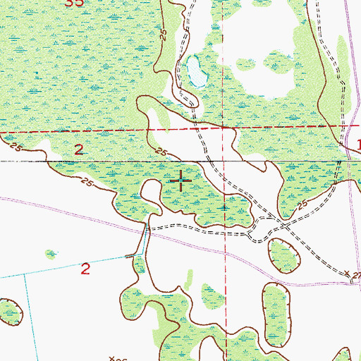 Topographic Map of Spruce Creek Swamp, FL