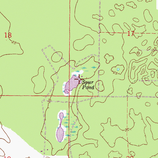 Topographic Map of Spur Pond, FL