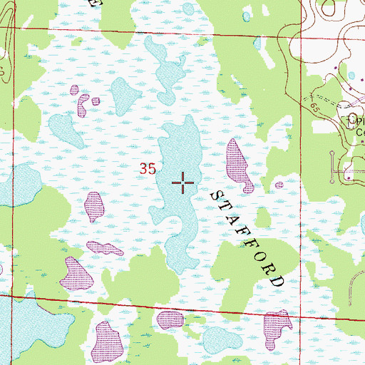 Topographic Map of Lake Stafford, FL
