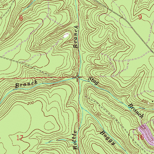 Topographic Map of Stag Branch, FL