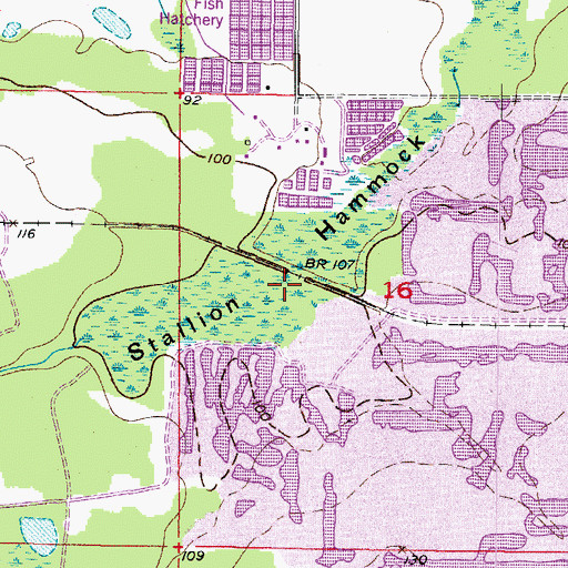 Topographic Map of Stallion Hammock, FL