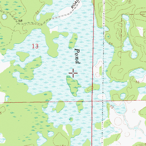 Topographic Map of Station Pond, FL