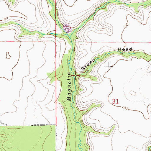 Topographic Map of Steep Head, FL