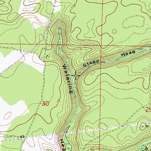 Topographic Map of Steep Head, FL