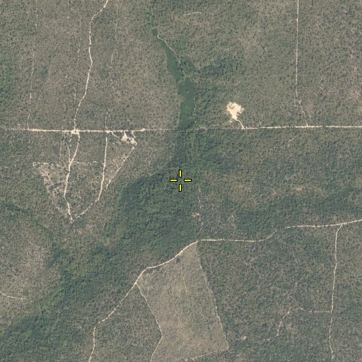 Aerial/Satellite Image of Still Branch, FL