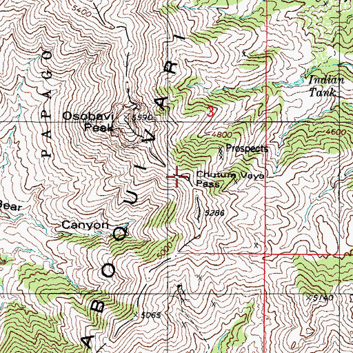 Topographic Map of Chutum Vaya Pass, AZ