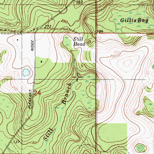 Topographic Map of Still Head, FL