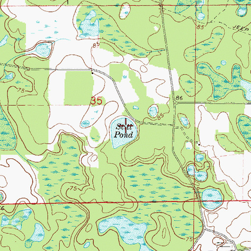 Topographic Map of Still Pond, FL